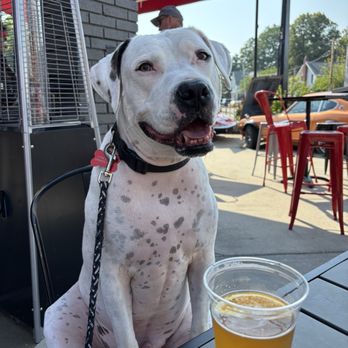 New Park Gastropub - My buddy enjoying the friendly atmosphere - Gastropubs Near Me - South Haven, Michigan New Park Gastropub - My buddy enjoying the friendly atmosphere - Gastropubs Near Me - South Haven, Michigan