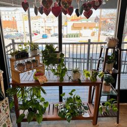 Belle Mercantile
