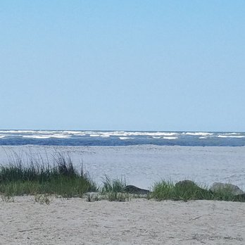 Turtle Tides - Eco tours for the whole family! Fun in the sun! Come explore! - Boat Tours Near Me - St. Simons, Georgia