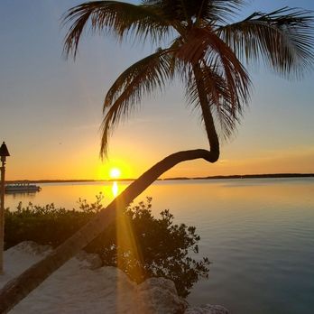 Morada Bay Beach Café - Caribbean Near Me - Islamorada, Florida Morada Bay Beach Café - Caribbean Near Me - Islamorada, Florida