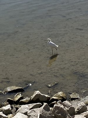 Cherry Creek State Park by null