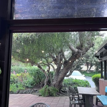 El Chorlito Mexican Eatery - Very cute set up out back! - Mexican Near Me - San Simeon, California