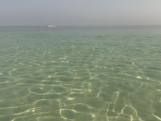 Sandspur Beach by null