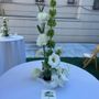 Nicoella Event Design & DJing