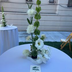 Nicoella Event Design & DJing