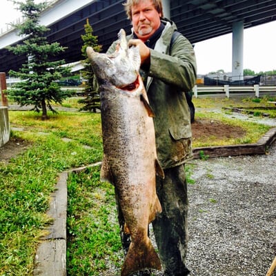 The Bait Shack by null