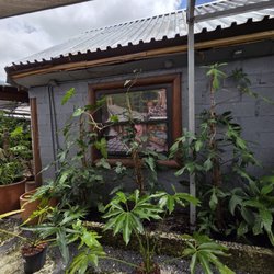 Perfect Choice Nursery
