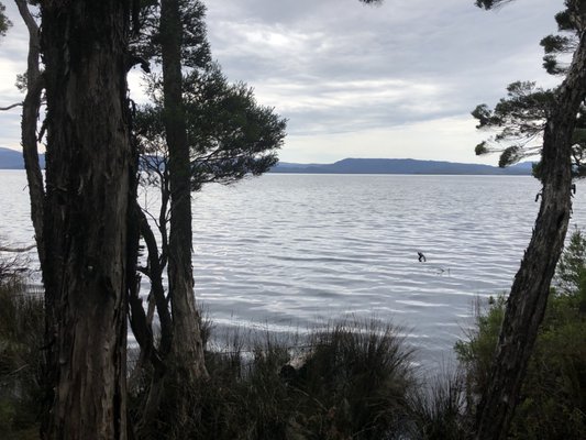 World Heritage Cruises by null