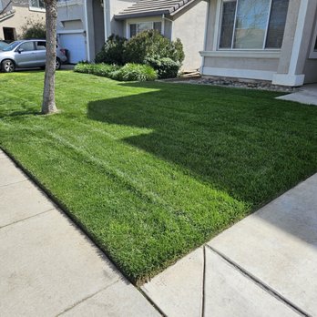 Lawn and Yard Solutions - Lawn mowed and edged. - Lawn Services Near Me