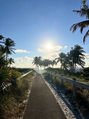 Crandon Park by null