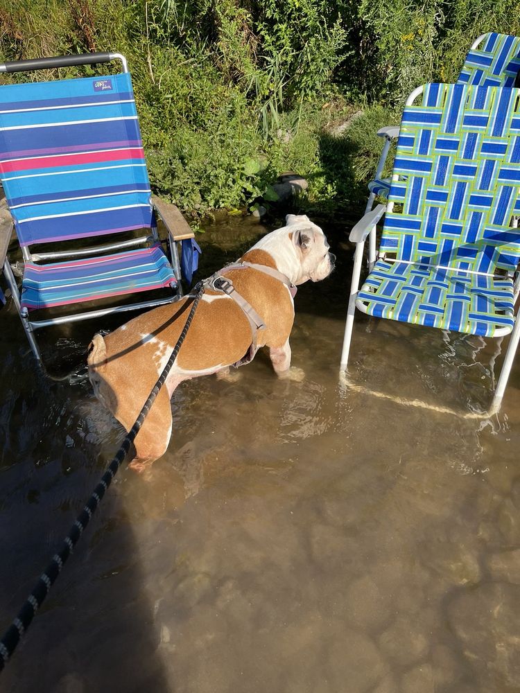 PHOENICIA BLACK BEAR CAMPGROUND Updated October 2024 89 Photos & 89