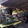 Photo of Blumen und mehr - Brigitte Krolo