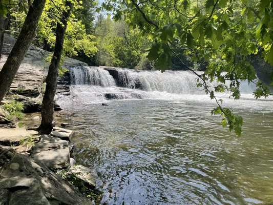 DuPont State Recreational Forest by null