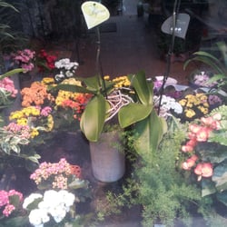 Hermes Jardinerie