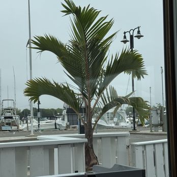 Captain Bills Restaurant & Catering - Seafood Near Me - Bay Shore, New York Captain Bills Restaurant & Catering - Seafood Near Me - Bay Shore, New York