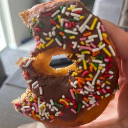 The Donut Man - Chocolate sprinkled donut