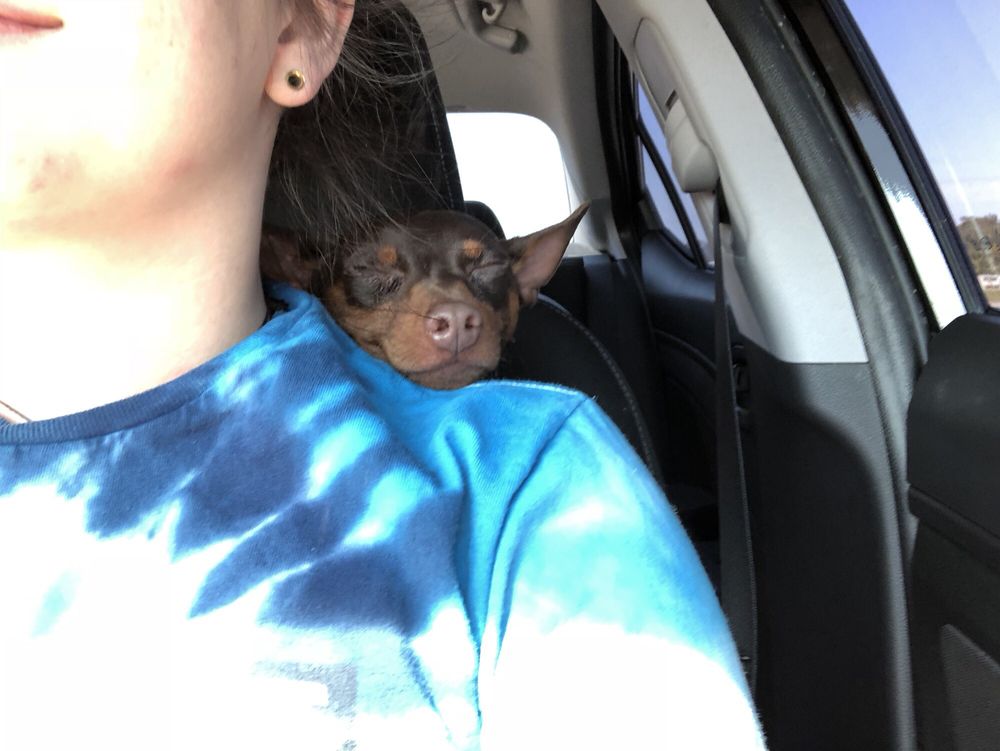 RURAL KING 27 Photos & 34 Reviews Hardware Stores 2468 Commercial