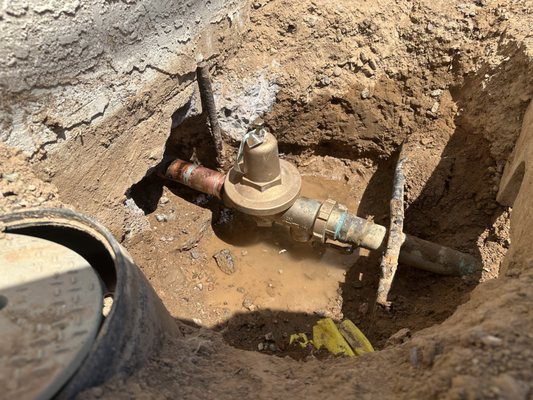 DL Plumbing Services Logo