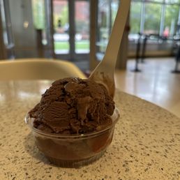 Single Scoop