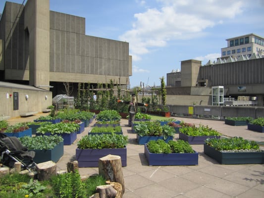 Queen Elizabeth Hall Roof Garden by null