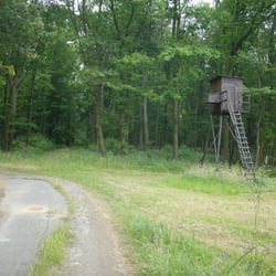Bahnwald
