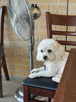 Counter Cafe by null