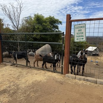 Sunshine Farm - Farms Near Me - Vista, California