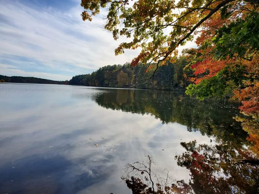 Wells State Park by null