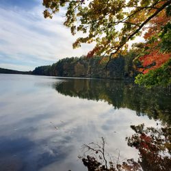 Wells State Park - Clean, well maintained park