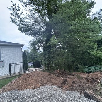 Alonzo Tree Service - Tree Services Near Me Alonzo Tree Service - Tree Services Near Me