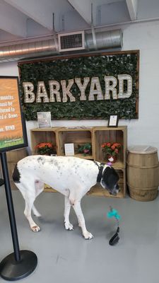 Barkyard n' Brews by null