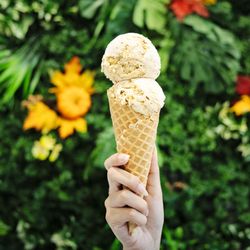 Guanabana - Fall Flavor: Apple Cinnamon