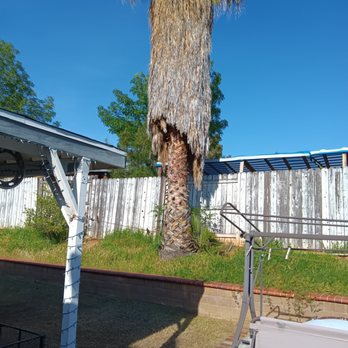 HLI Tree Experts - Tree Services Near Me