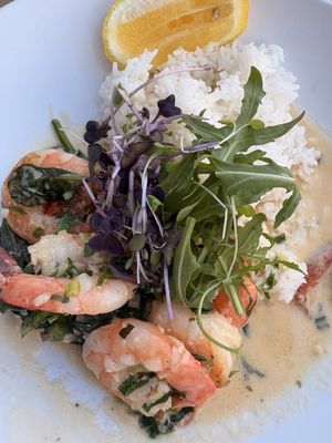 Dundees on the Waterfront by null