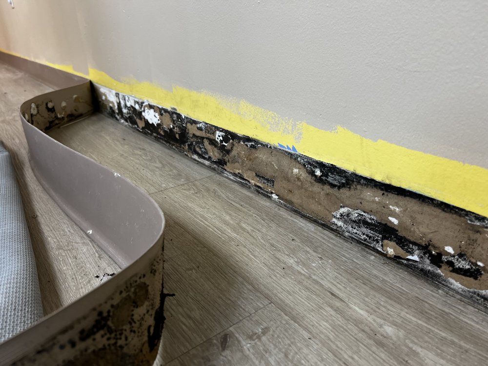 Mold Inspection Specialists - mold inspector in Hackettstown, NJ