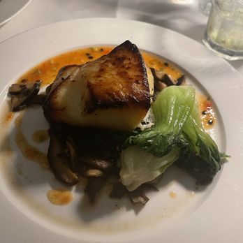 IL Toscano Ristorante - Chilean Sea Bass- buttery and amazing!!!) - Italian Near Me - Douglaston, New York IL Toscano Ristorante - Chilean Sea Bass- buttery and amazing!!!) - Italian Near Me - Douglaston, New York