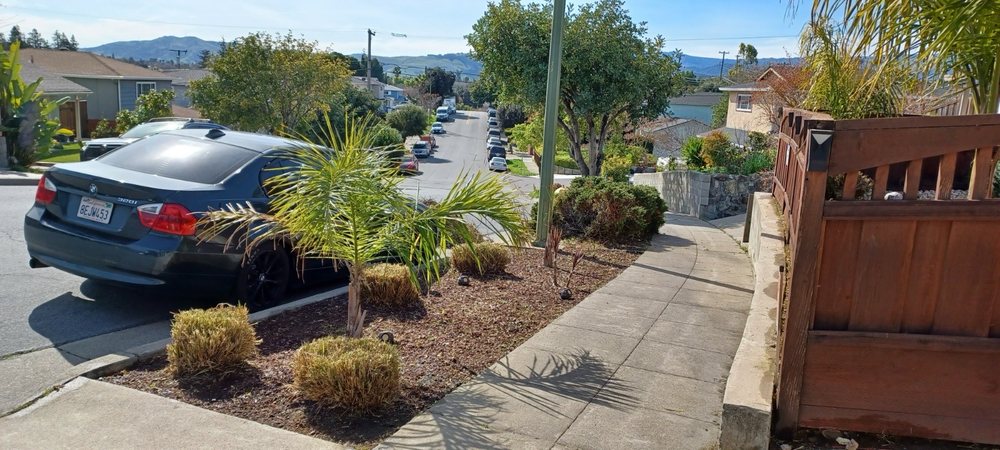 Tony’s Tree Service - tree service in San Jose, CA