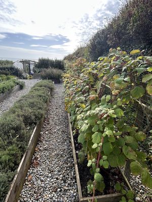 Dunmore House Hotel by null