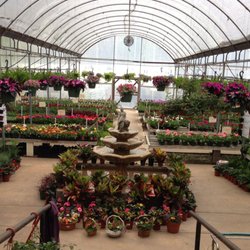 Cooks Nursery