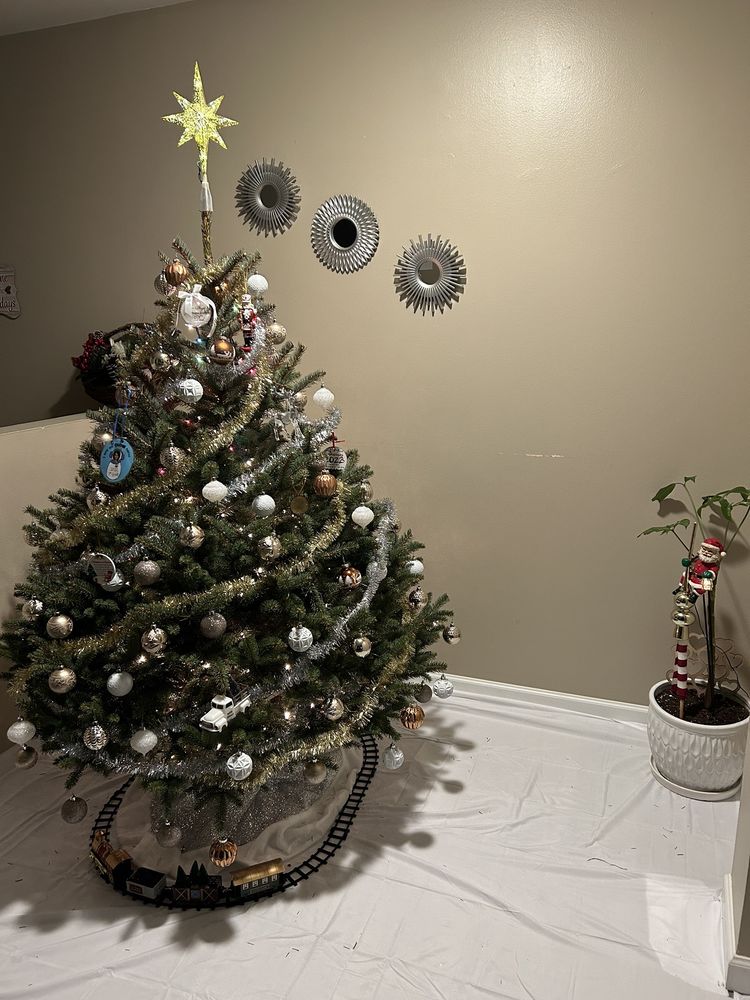 PAGE’S CHRISTMAS TREE FARM Updated October 2024 10 Photos 3270