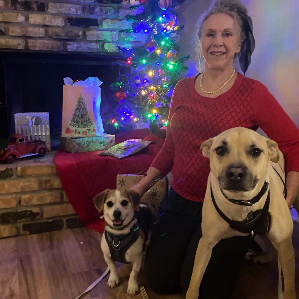 Li Li's Pet Sitting - Saint and Milo on Christmas 2024 at Ms. Julie (Li Li's Pet Sitting). - Pet Sitting Near Me - Baton Rouge, Louisiana
