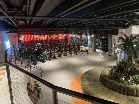 JOHN REED Fitness by null