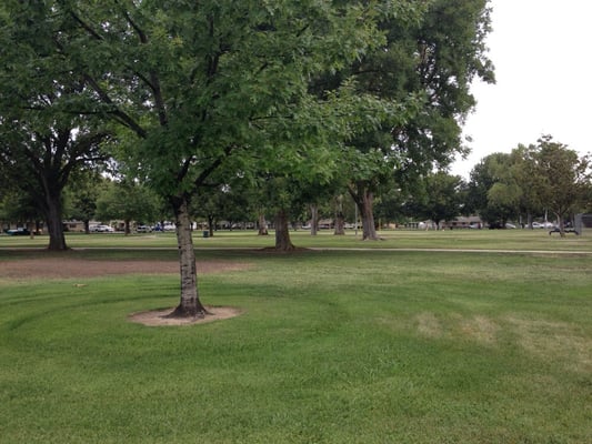Roosevelt Park by null