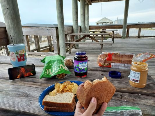 Henderson Beach State Park by null