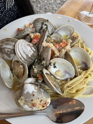 The Oyster Company by null