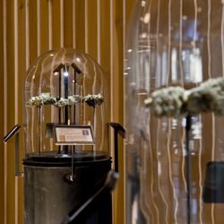 HerbNJoy - Hanford - Cannabis flower display