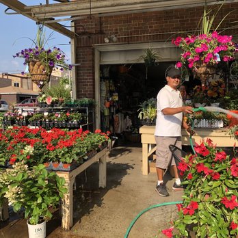 Growers 36 Photos Nurseries Gardening 7757 S Western Ave Chicago Il Phone Number Yelp - Chicago Area Garden Centers Growers 36 Photos Nurseries Gardening 7757 S Western Ave Chicago Il Phone Number Yelp - Chicago Area Garden Centers