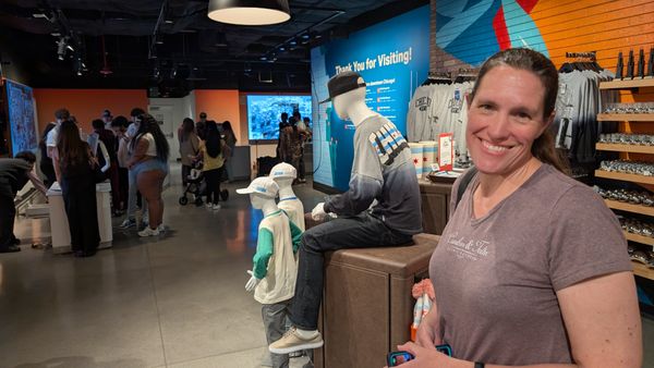 Skydeck Chicago by null