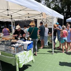 Waimea Town Market - Sandwich Isle Bread Company booth