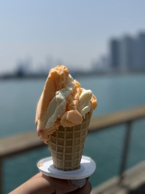 The Original Rainbow Cone by null